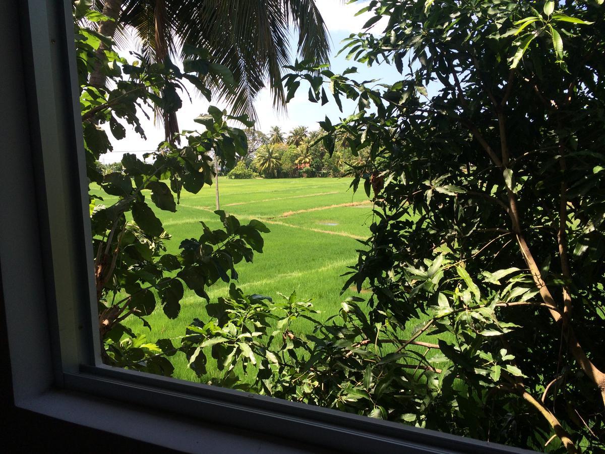 Hotel View Point Tissamaharama Bagian luar foto