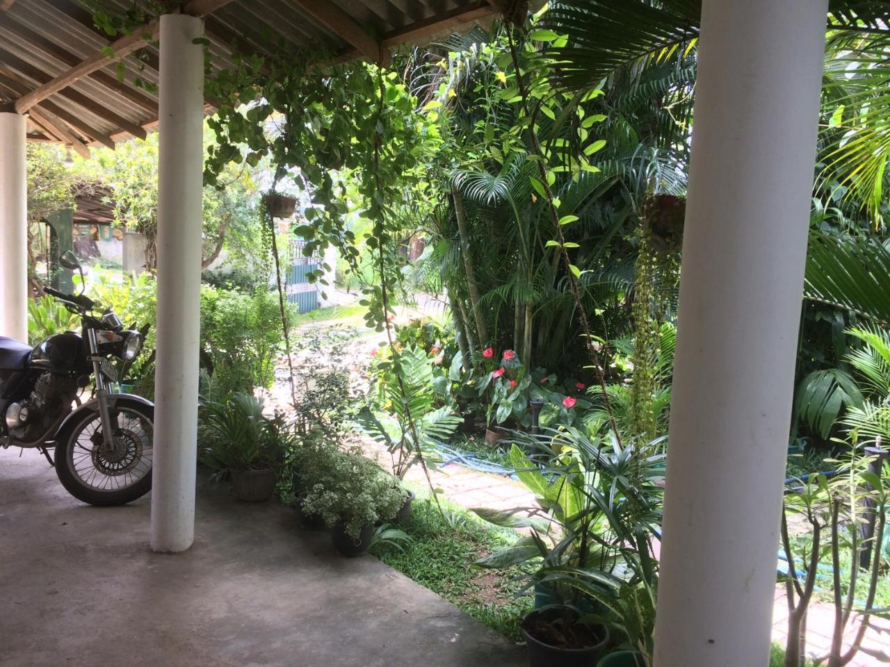 Hotel View Point Tissamaharama Bagian luar foto