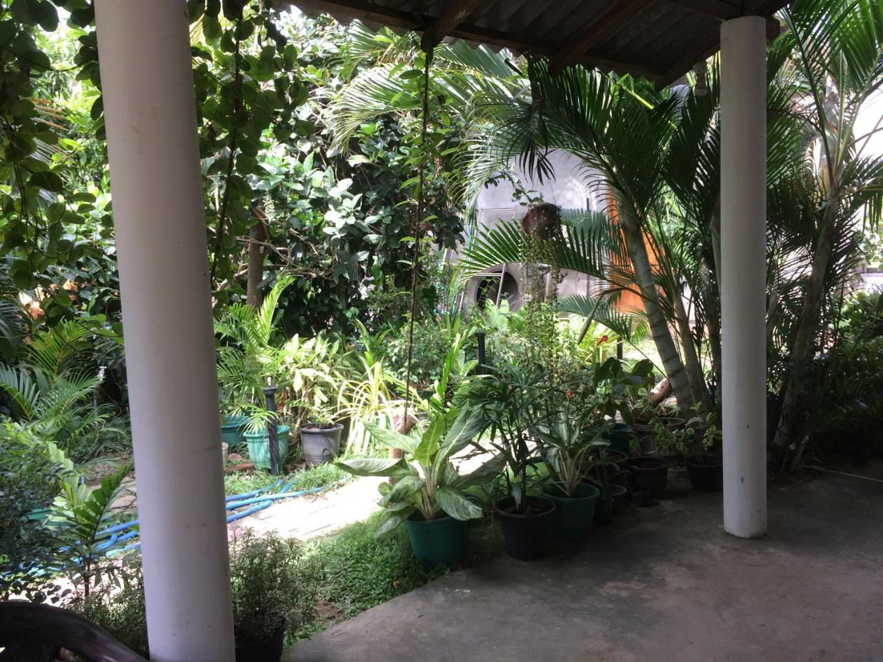 Hotel View Point Tissamaharama Bagian luar foto