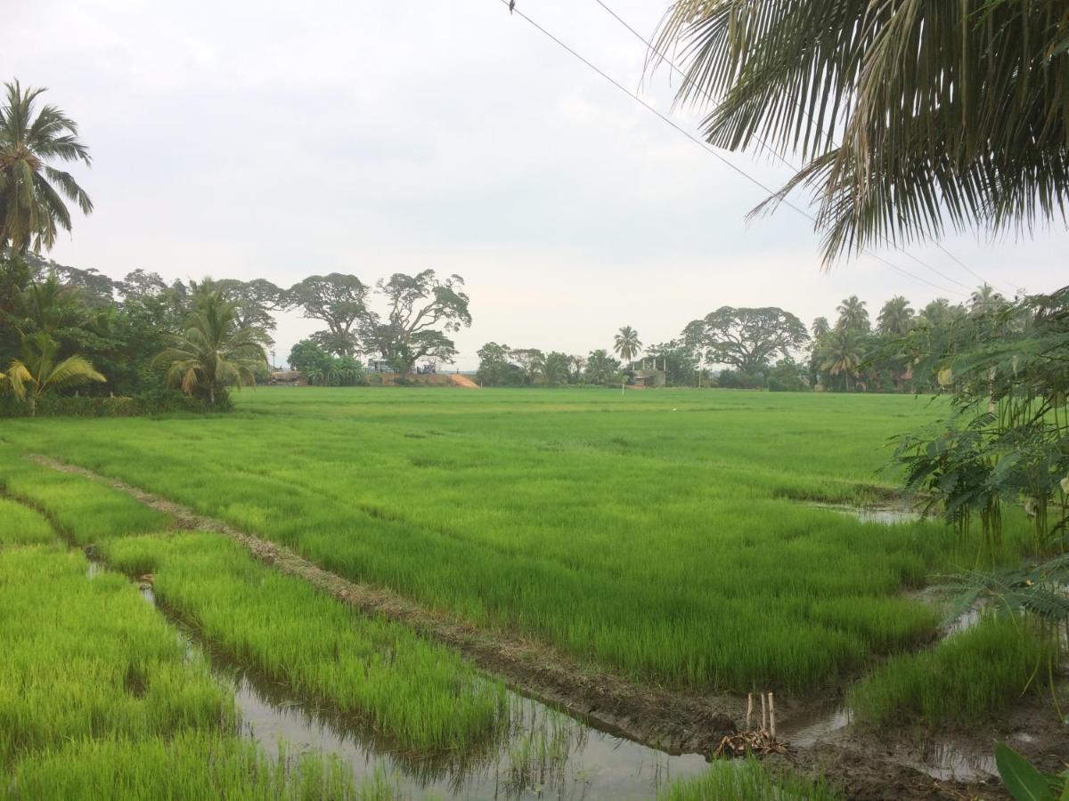 Hotel View Point Tissamaharama Ruang foto