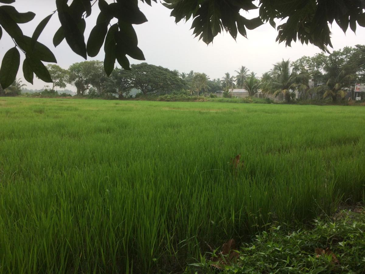 Hotel View Point Tissamaharama Ruang foto